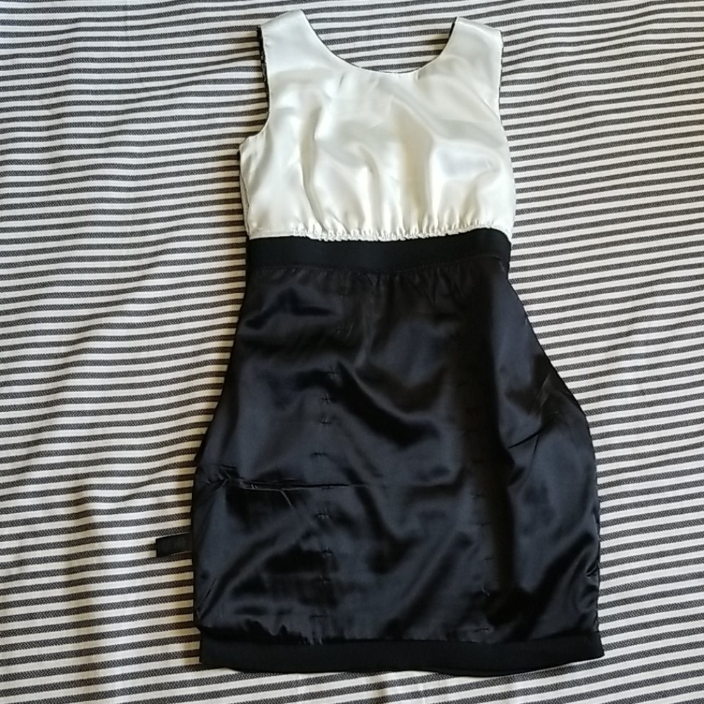 Express Dress - Picture 6 of 8